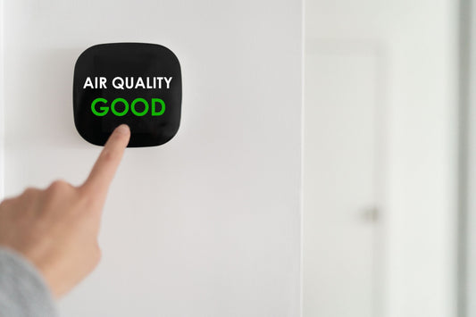 The Strategic Advantage: Why Wellnivity Bets on American-Made Air Purification