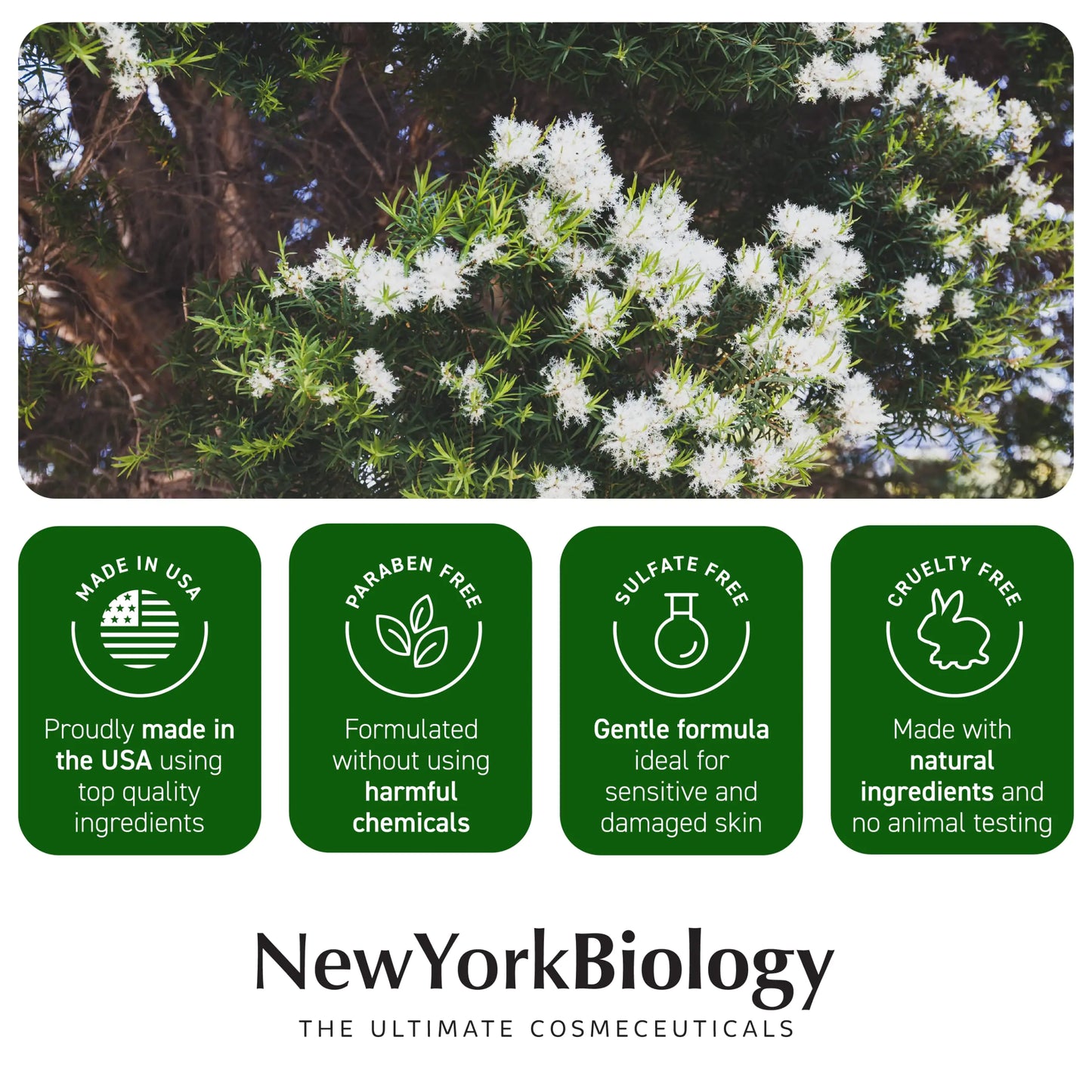 New York Biology Tea Tree Foot Cream