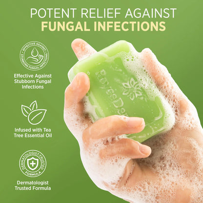 RoyceDerm Tea Tree Oil Antifungal Soap